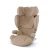 Solution T - Cozy Beige Plus
