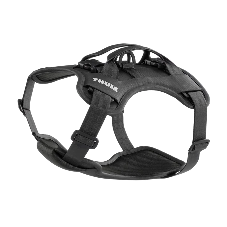 Thule Cappy M