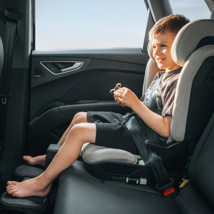 Thule Palm Footrest